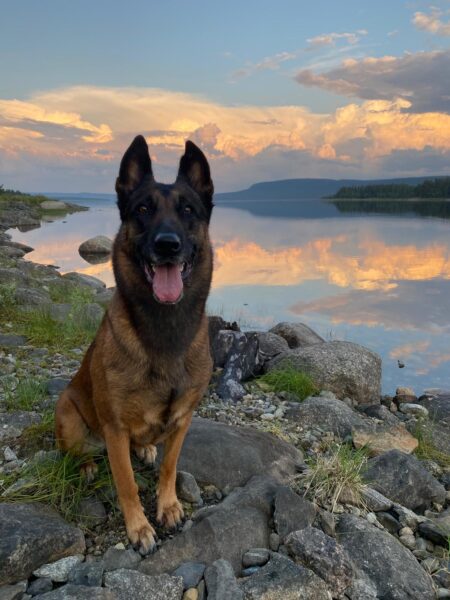 d7cce21c-6013-463a-809b-f4ef2b4a6a8a